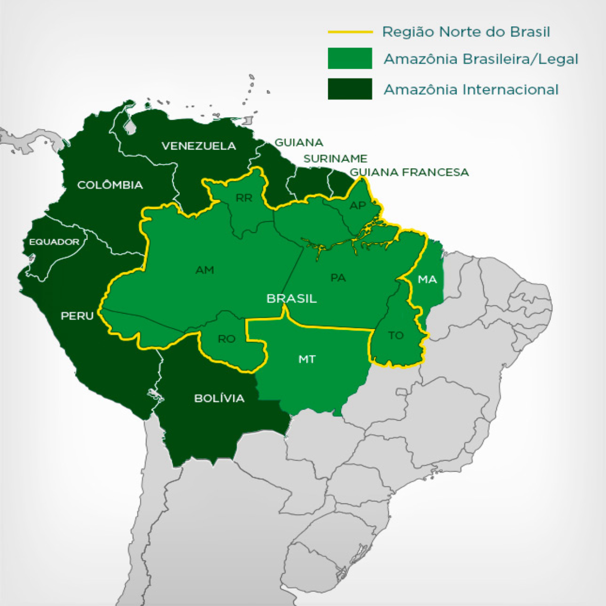 O Que é Amazônia Continental 